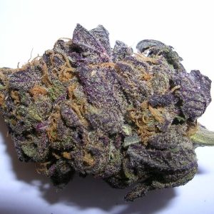 buy purple haze from the most trusted marijuana shop online