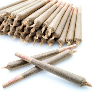 Buy Big Chief Preroll Online from the most trusted cannabis shop