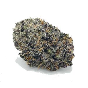 buy northern lights from the most trusted marijuana shop online