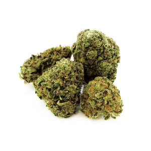BUY DURBAN POISON FROM THE MOST TRUSTED MARIJUANA SHOP ONLINE