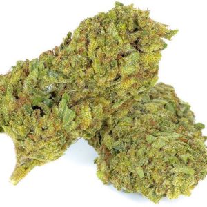 buy Alaskan thunderfuck from the most trusted marijuana shop online/ maryjanevibes.com