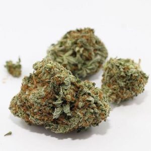 buy harlequin from the most trusted marijuana shop online