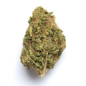 buy grease monkey from the most trusted marijuana shop online