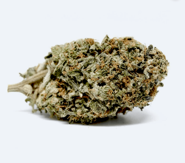 buy chocolope from the most trusted marijuana shop online