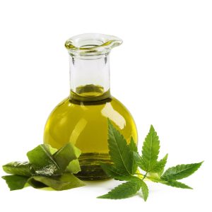 buy co2 oil from the most trusted marijuana shop onlin